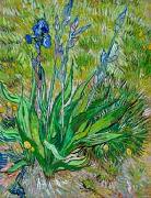 Vincent Van Gogh thinned cardboard Sweden oil painting artist